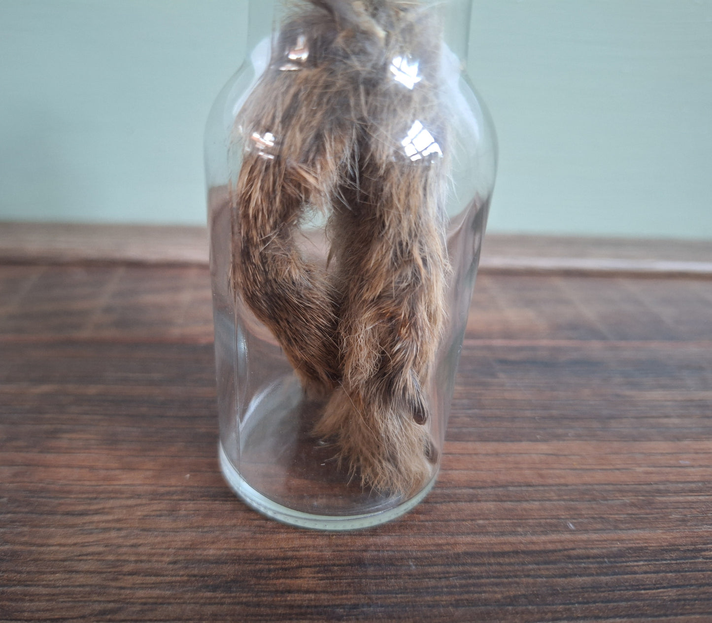 Hare paws, B-quality, in glass bottle