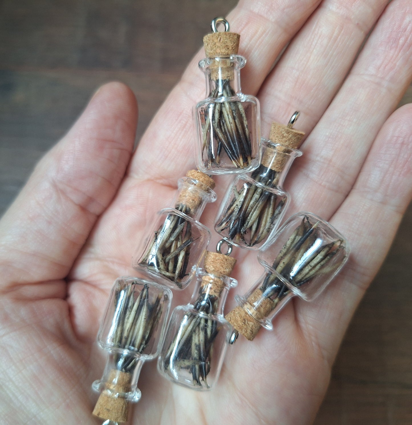 Mini bottle hedgehog spikes #2