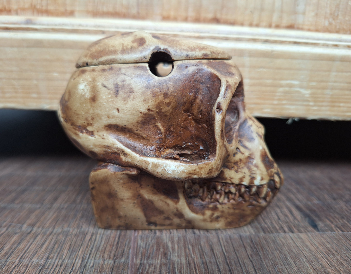 Resin monkey skull kapala