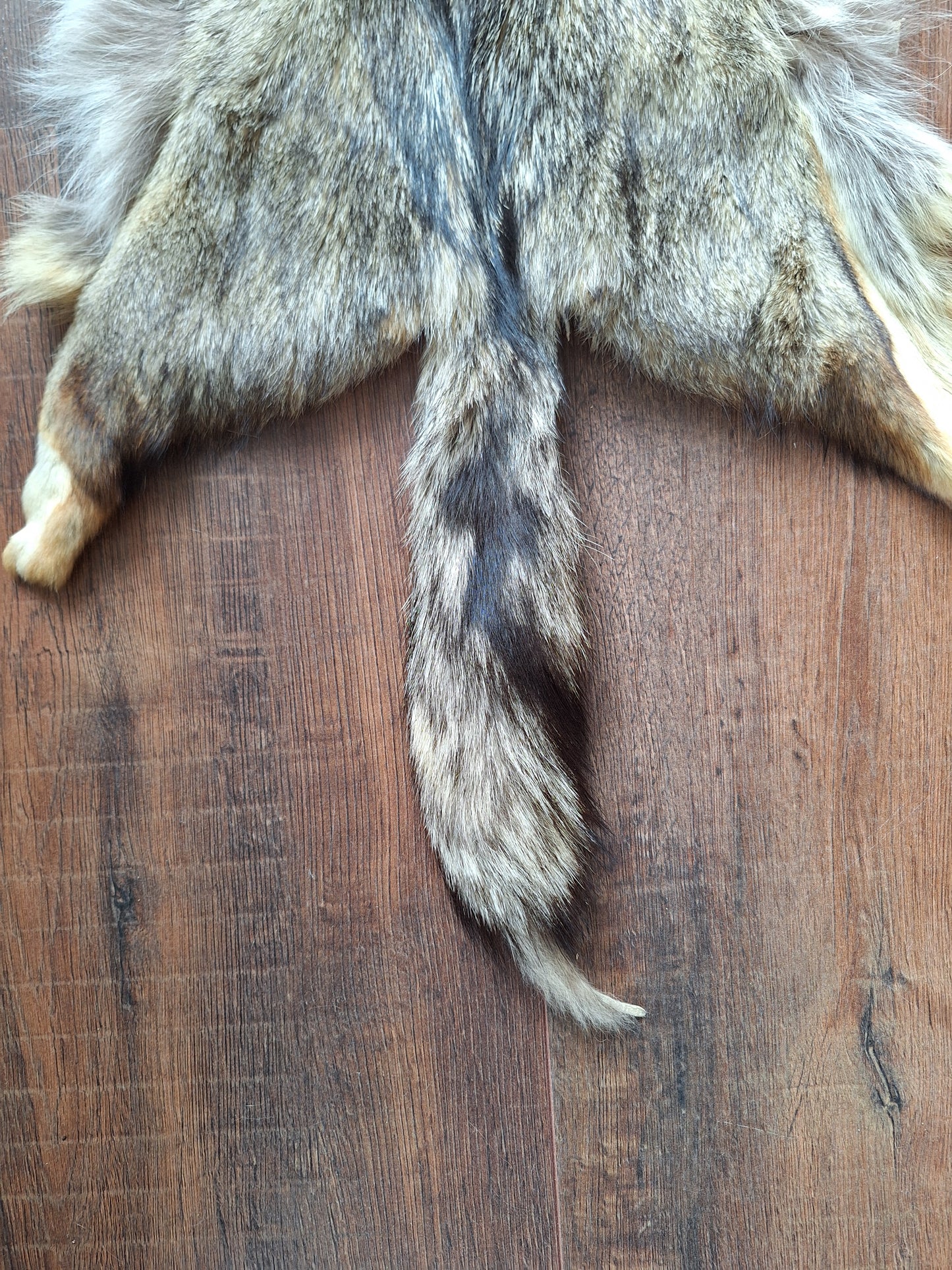 Cape fox hide #1