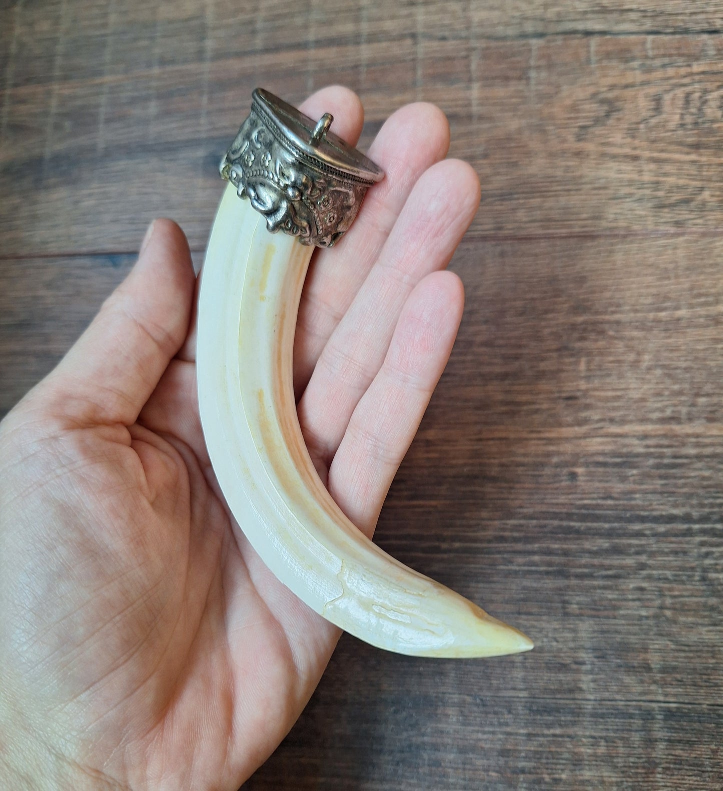 Vintage Nepalese wild boar tusk pendant