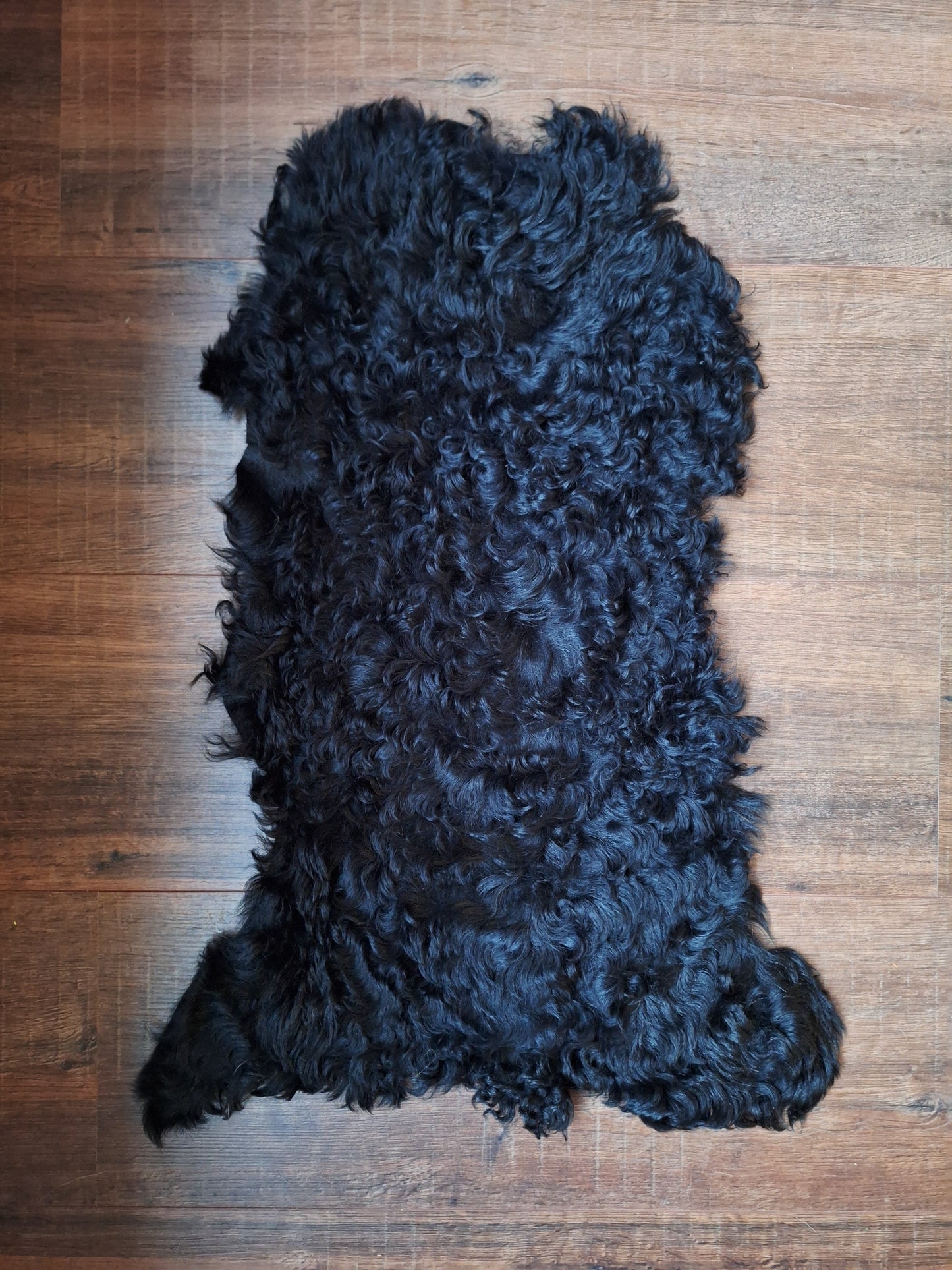 Tigrado sheep hide #1