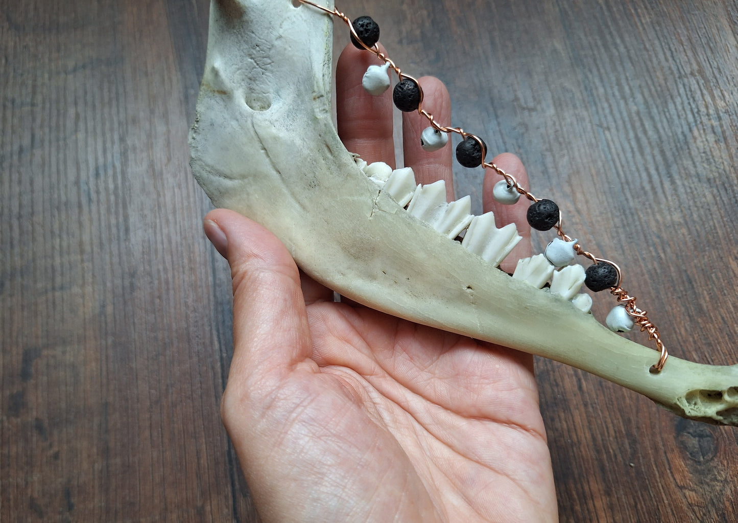 Roe deer jawbone rattle