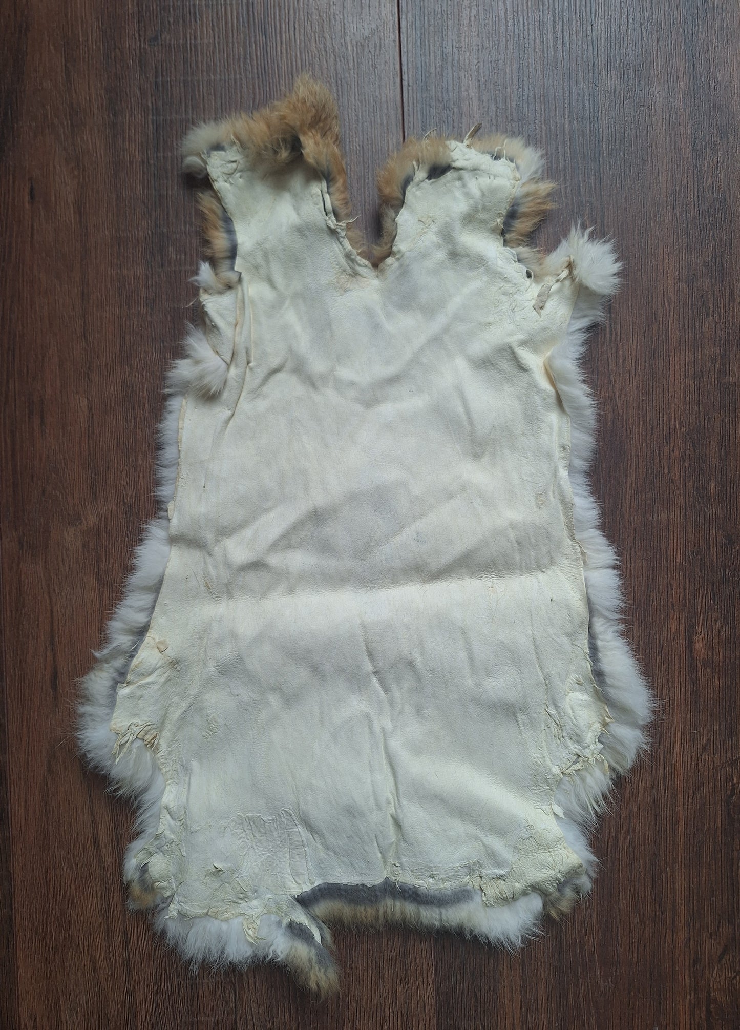 Rabbit hide #27