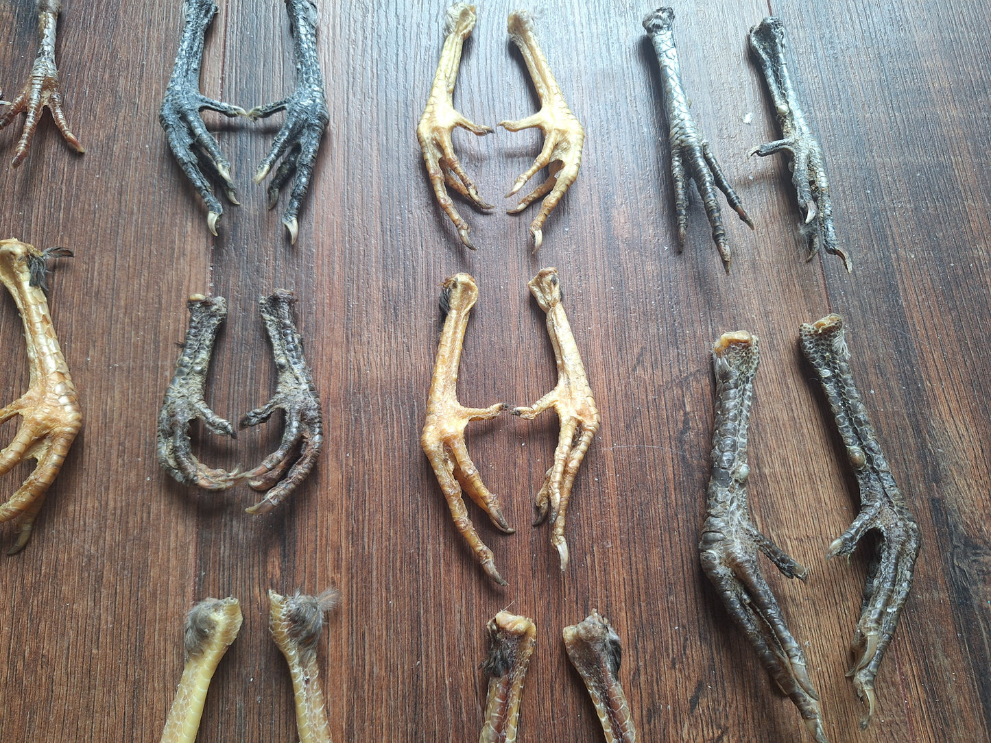 Chicken lower legs, set of 2