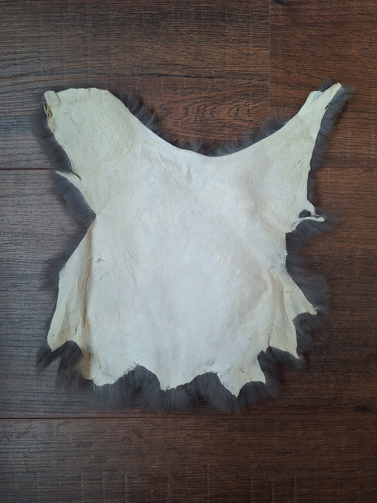 Rabbit hide #15