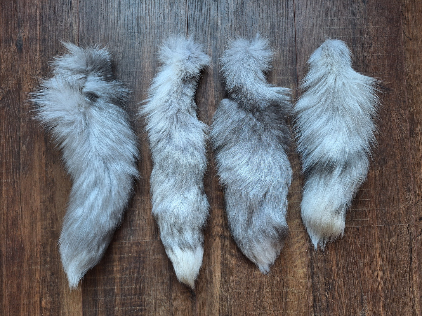 Painted silverfox tails