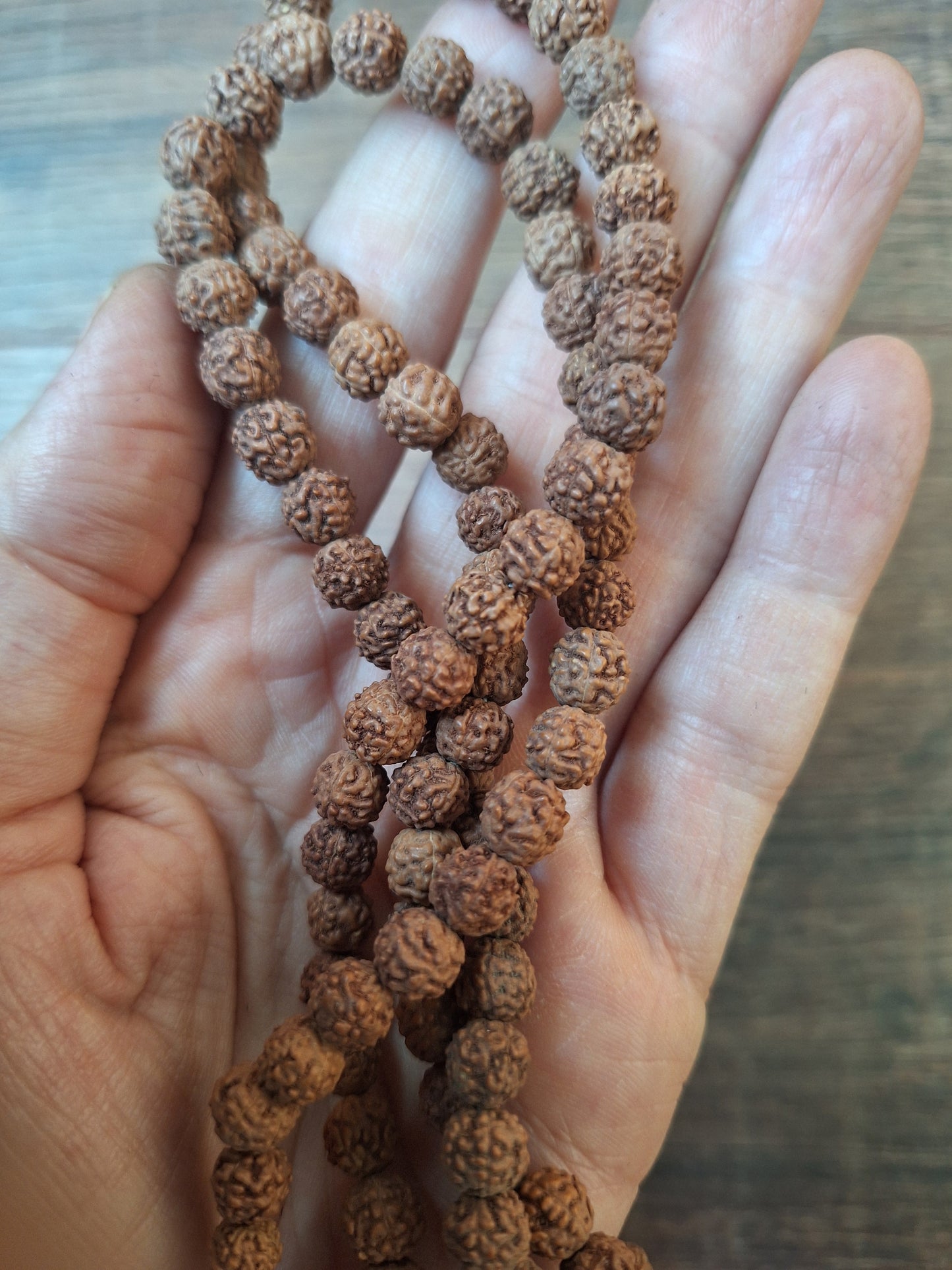 Rudraksha bead strand