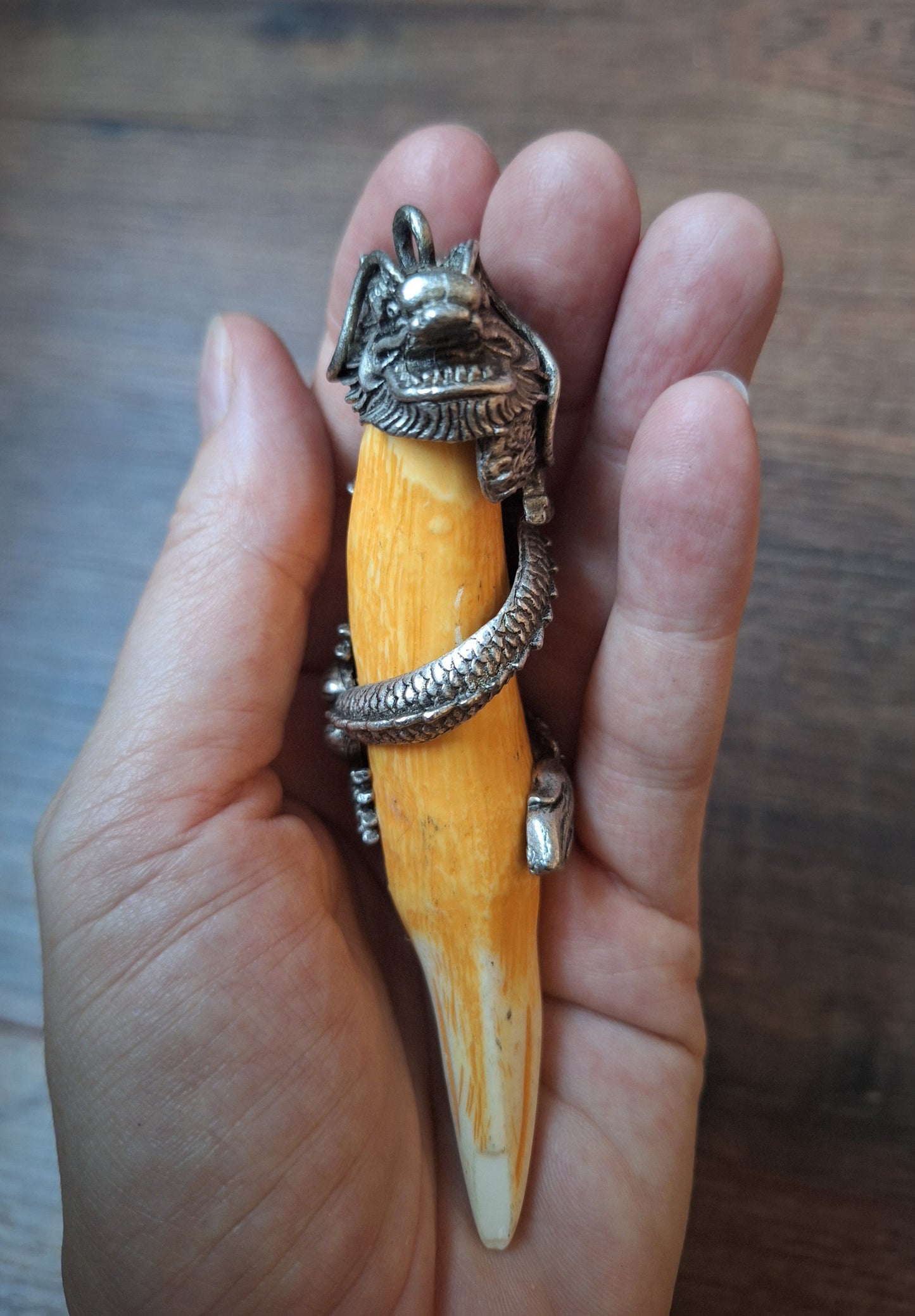 Vintage resin tiger tooth pendant