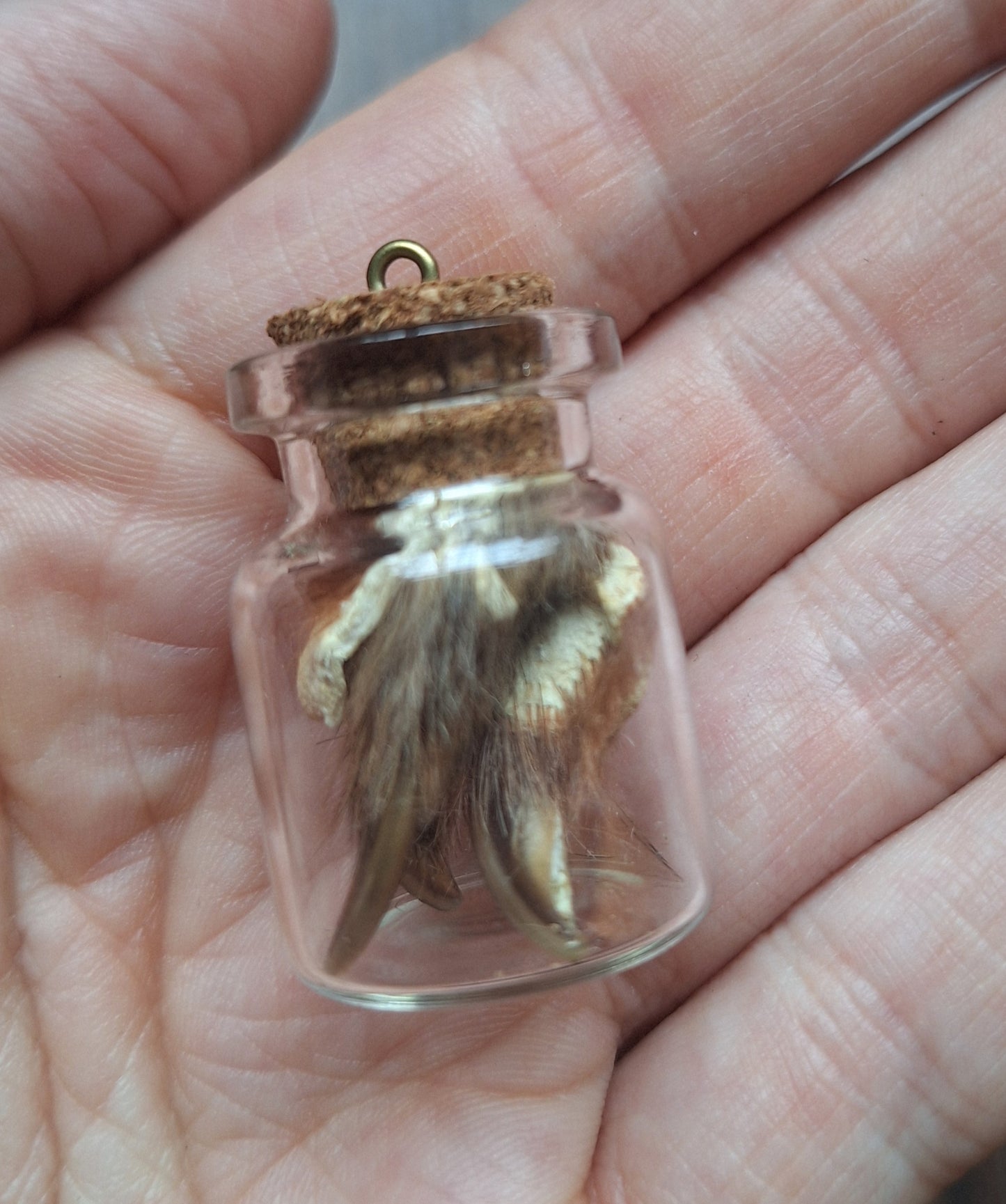 Fox nails bottle