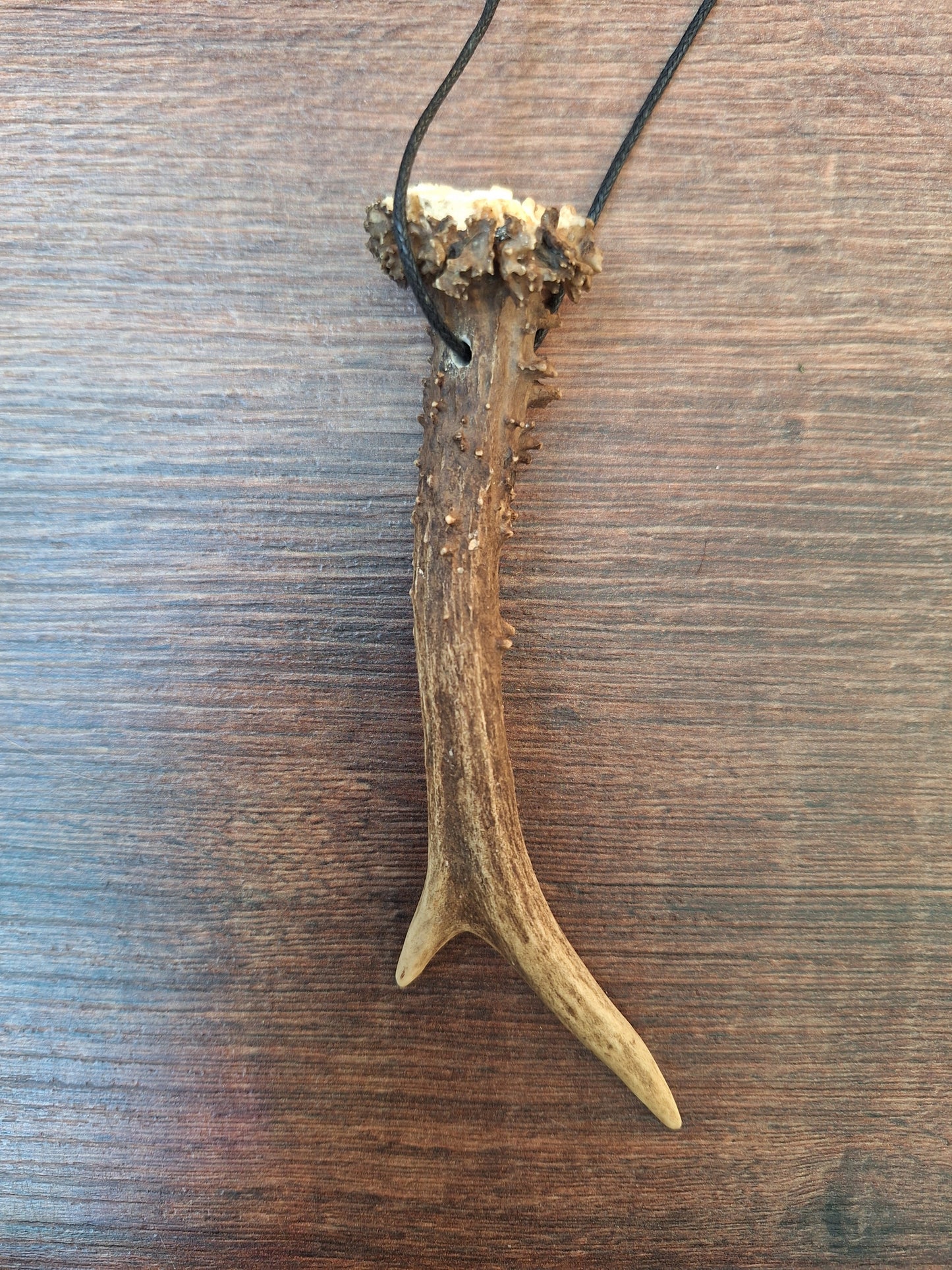 Roe deer antler necklaces