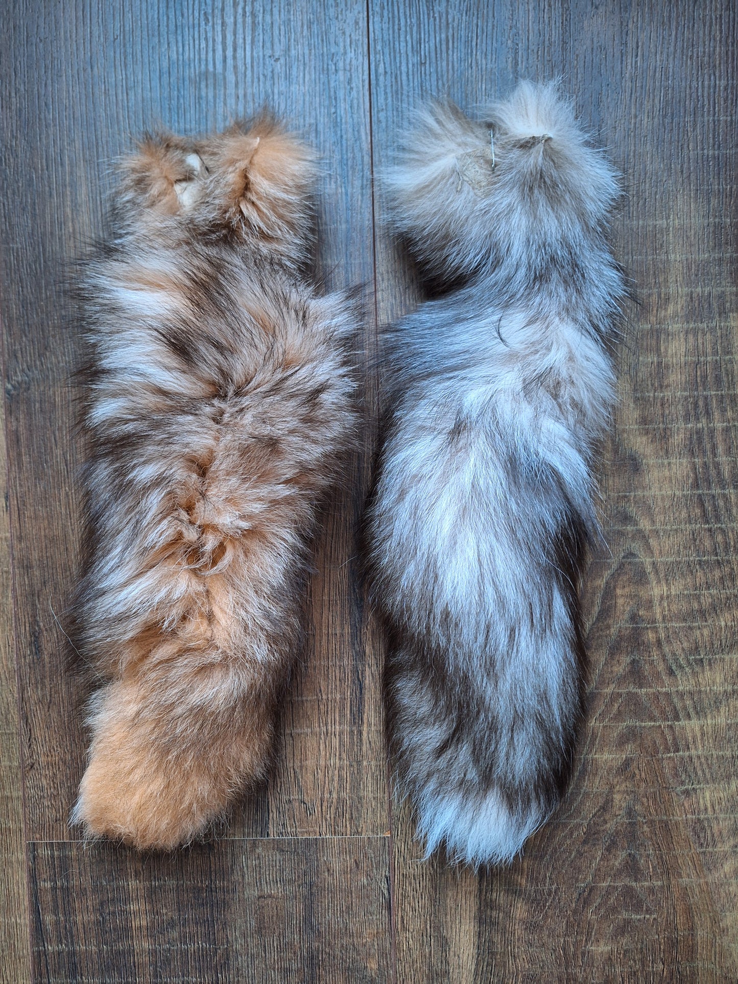 Painted silverfox tails