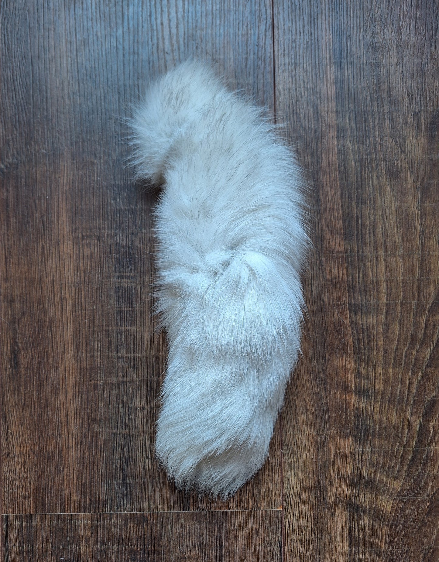 Polar fox tails