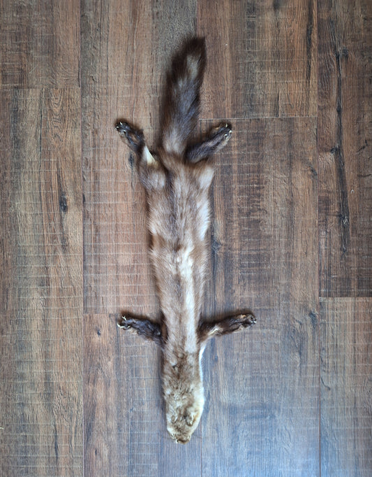 Stone marten hide #3