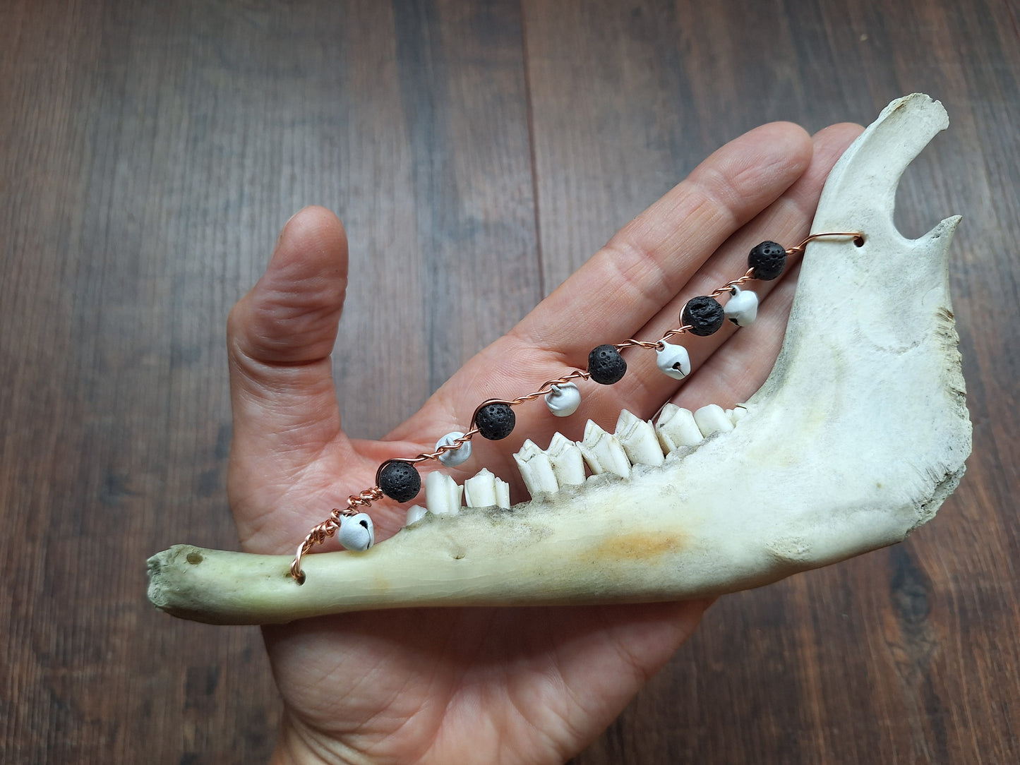 Roe deer jawbone rattle
