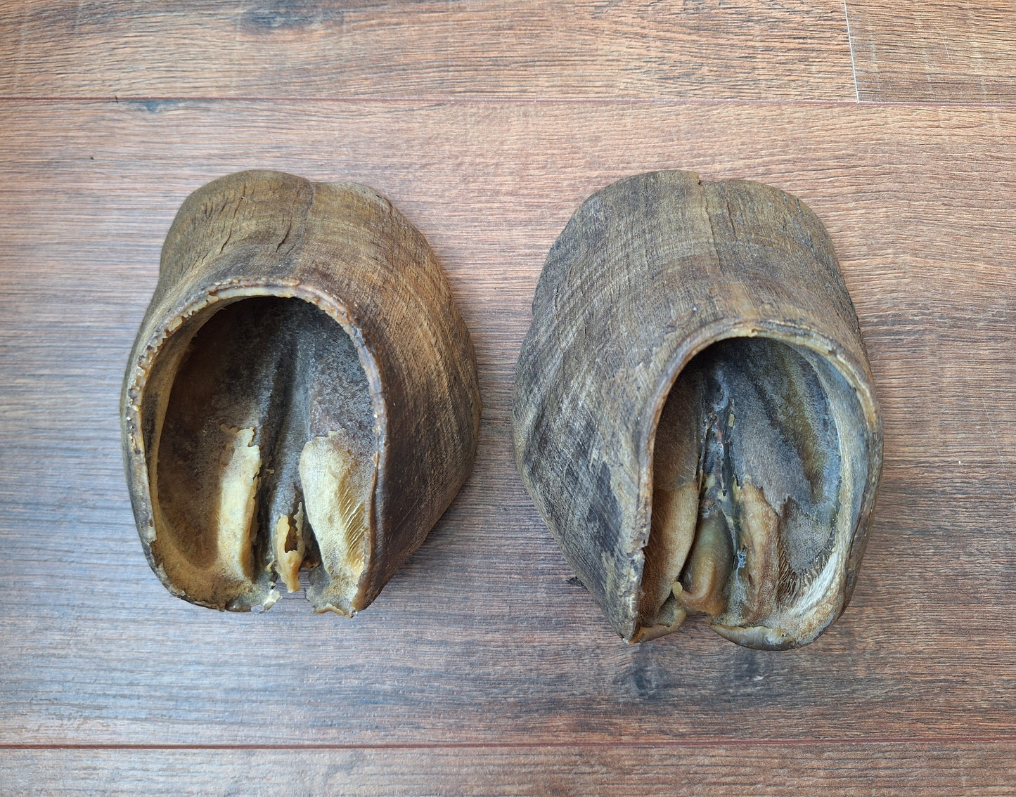 Horse hooves