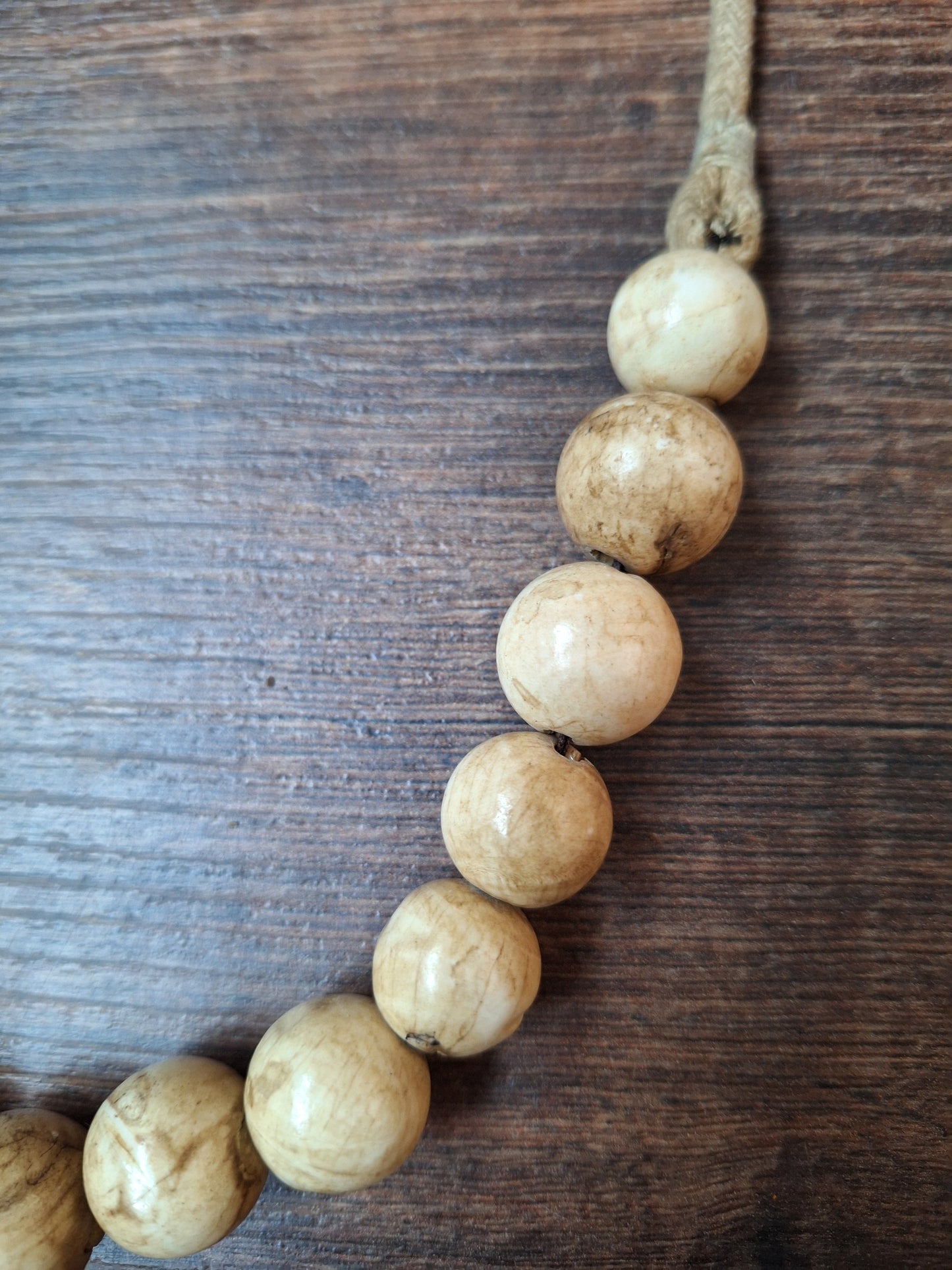 Old Nepalese conch shell necklace