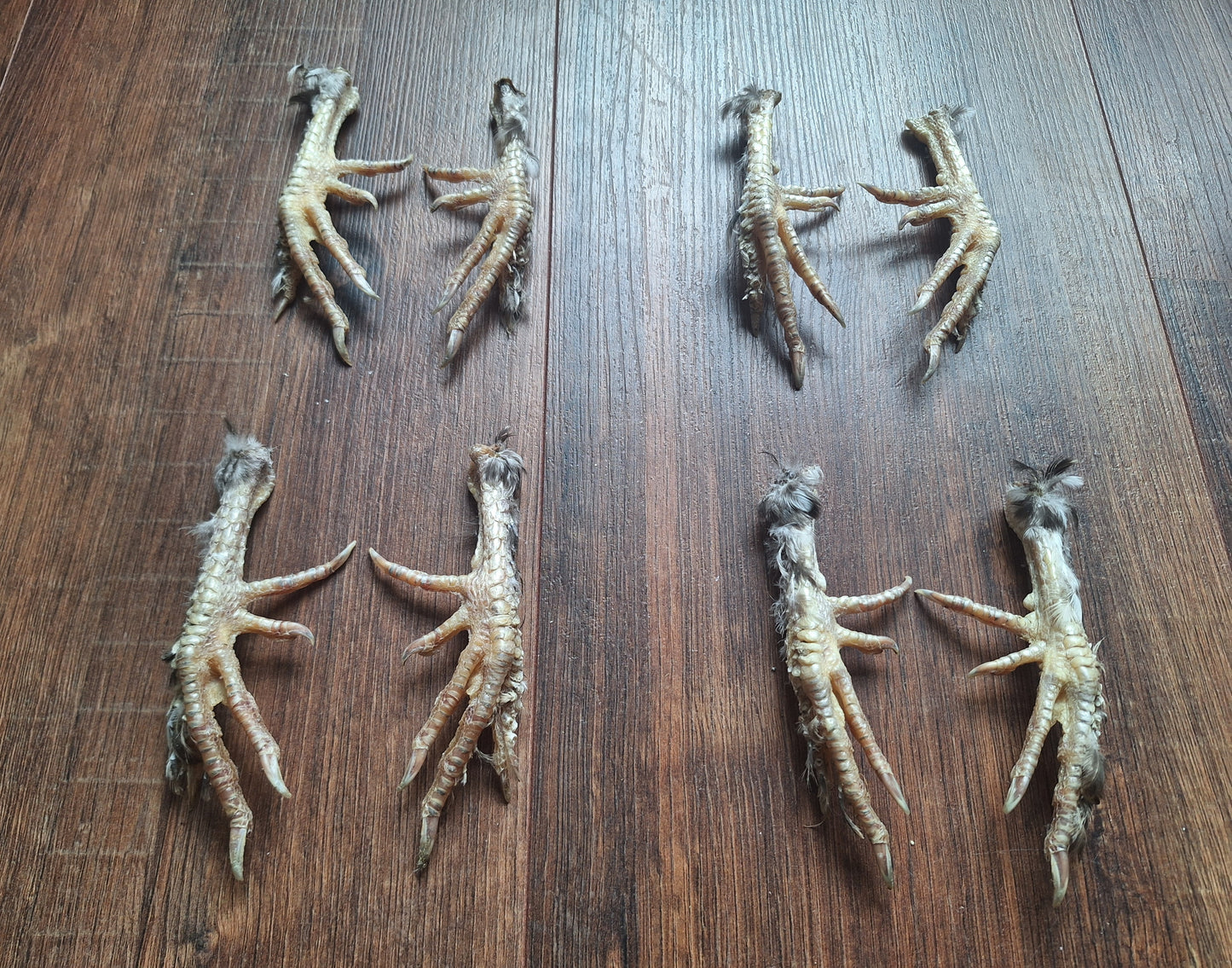 Silkie chicken lower legs, set of 2