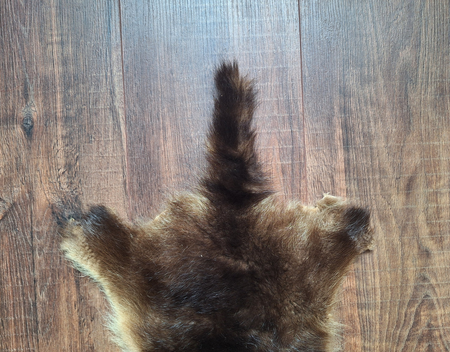 Raccoon dog hide, B-quality