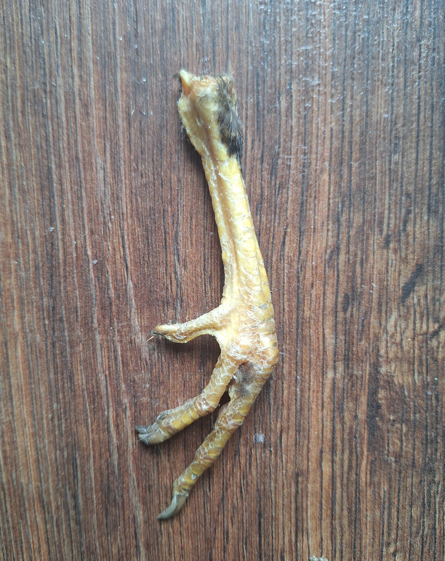 Chicken lower legs