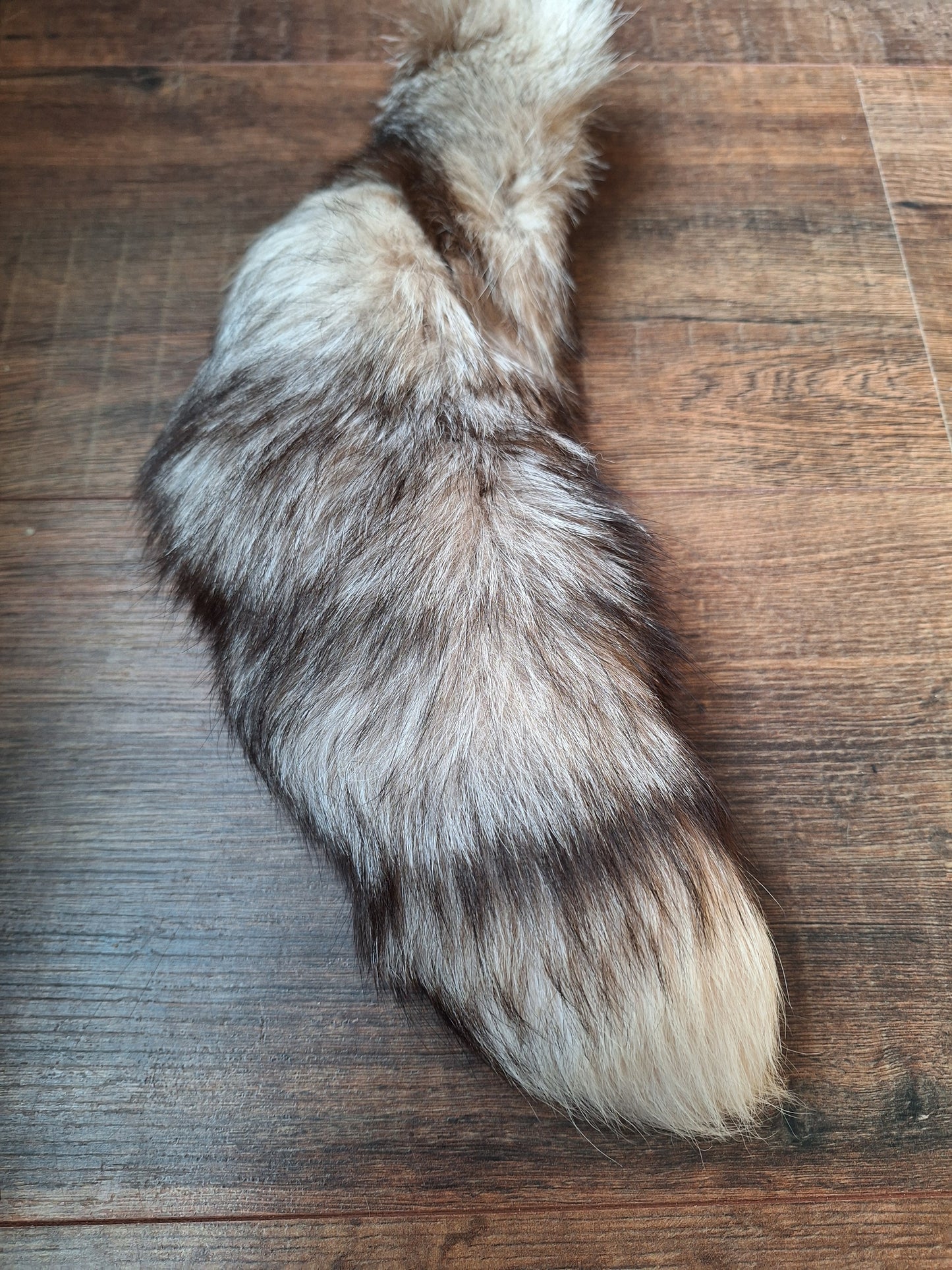 Painted silverfox tail