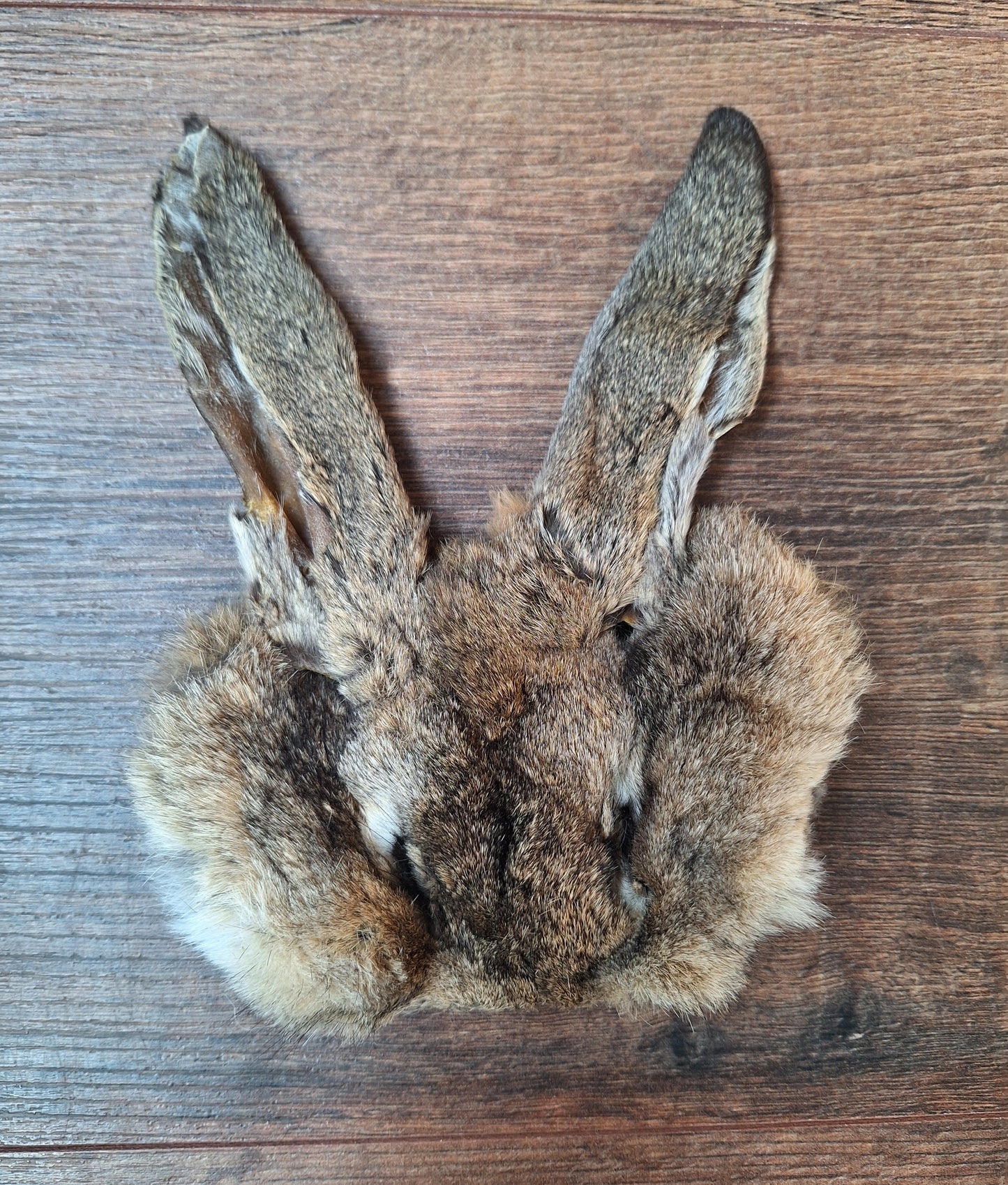 Hare head skins