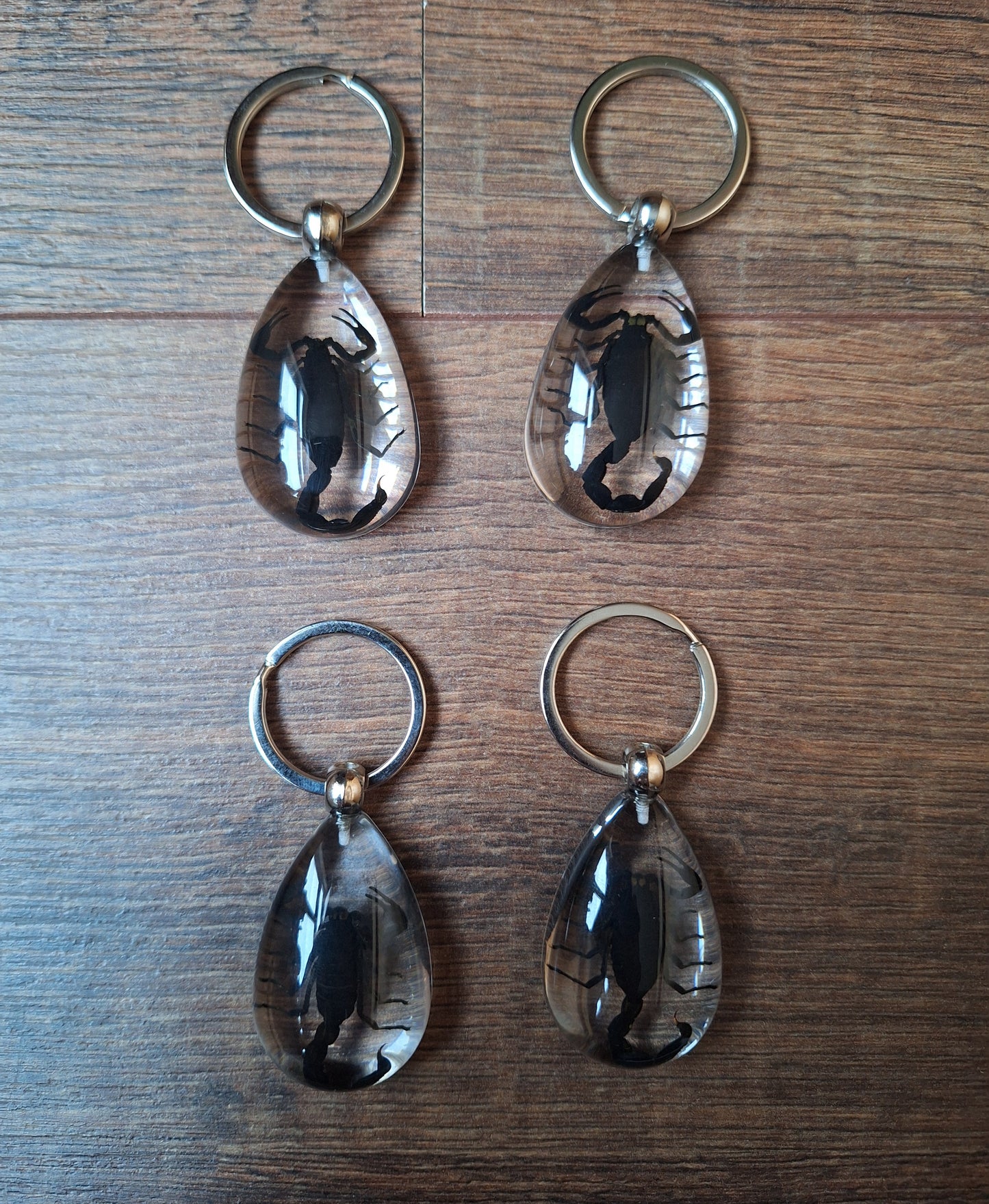 Scorpion in resin keychain