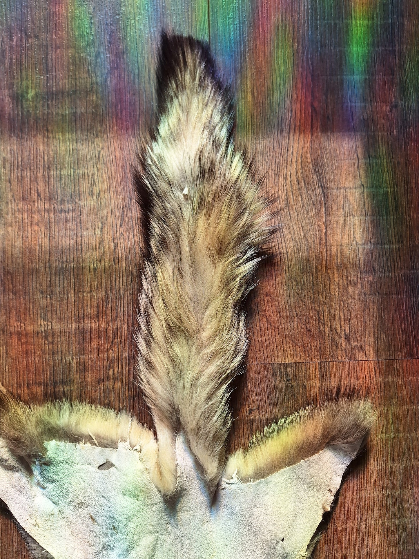 Cape fox hide #3