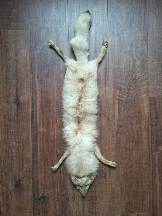 Red fox hide, light color mutation