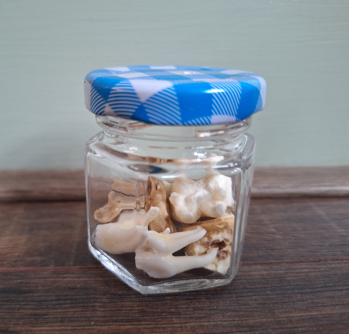Roe deer teeth in glass jar