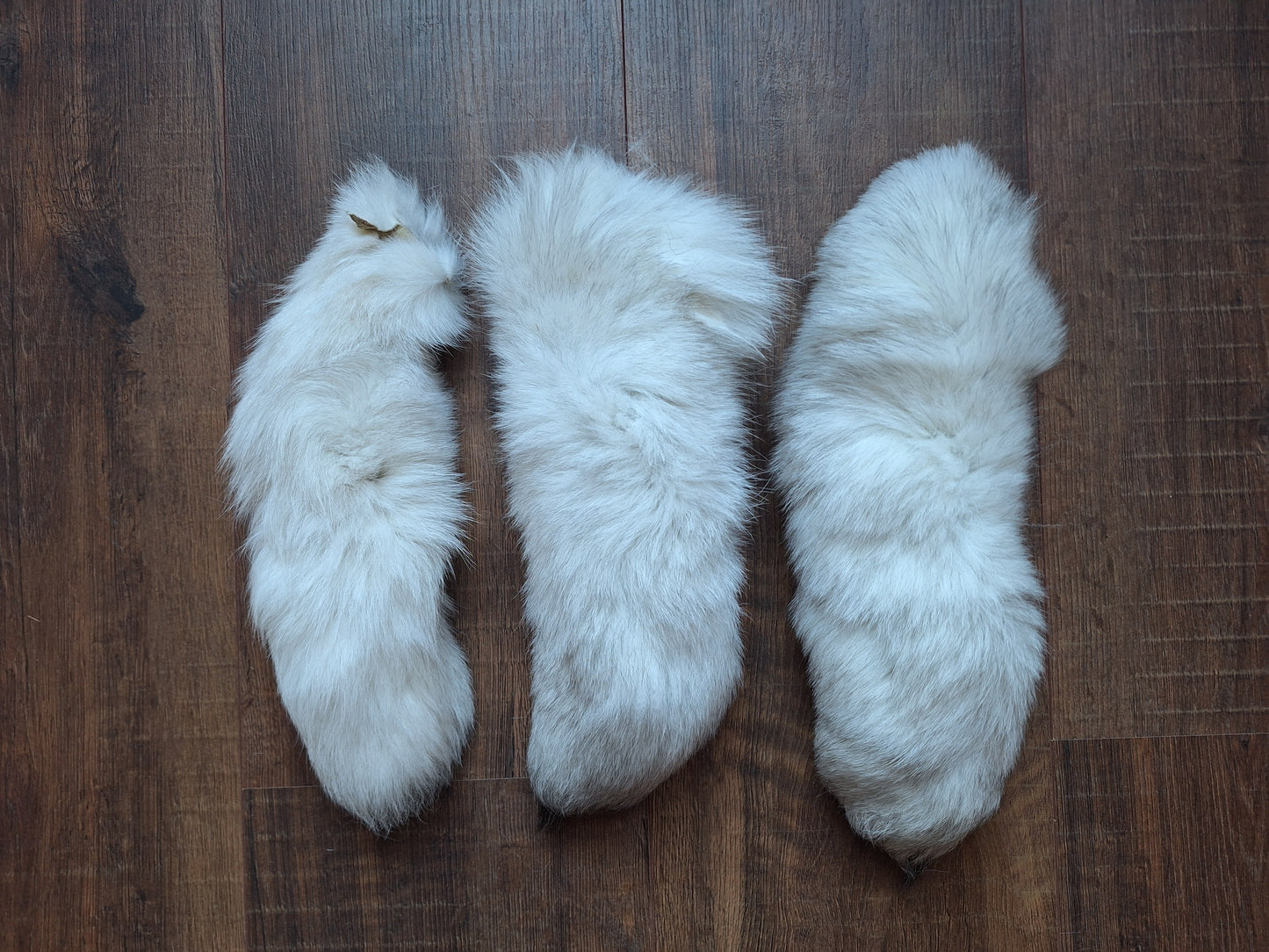 Polar fox tails