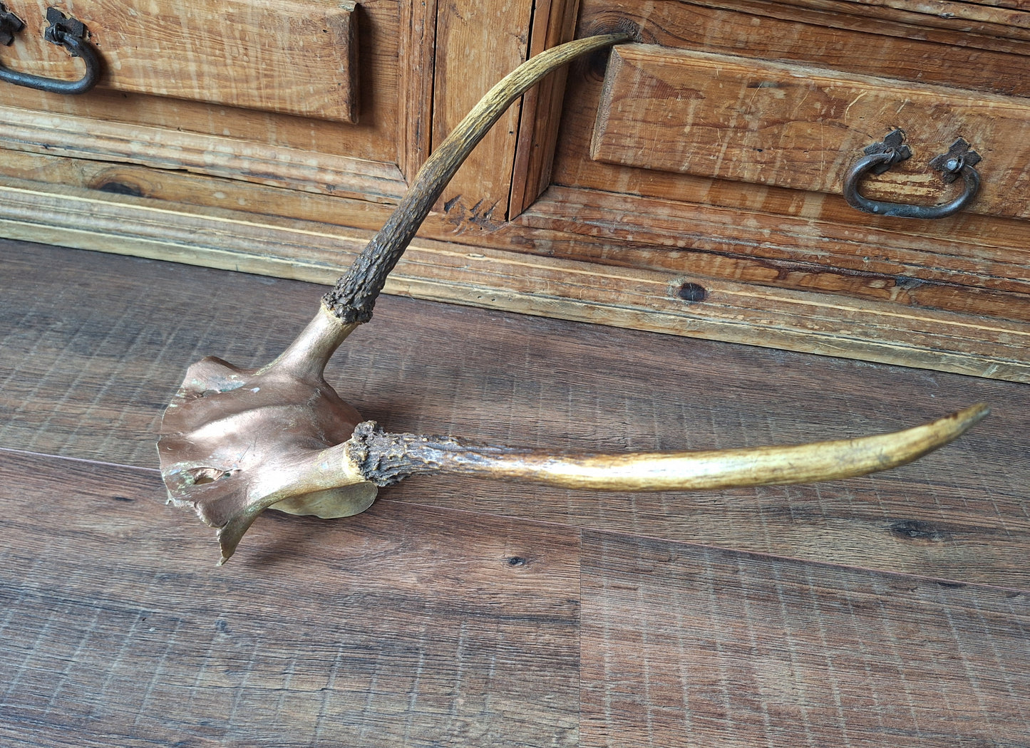 Red deer skull cap, B-quality