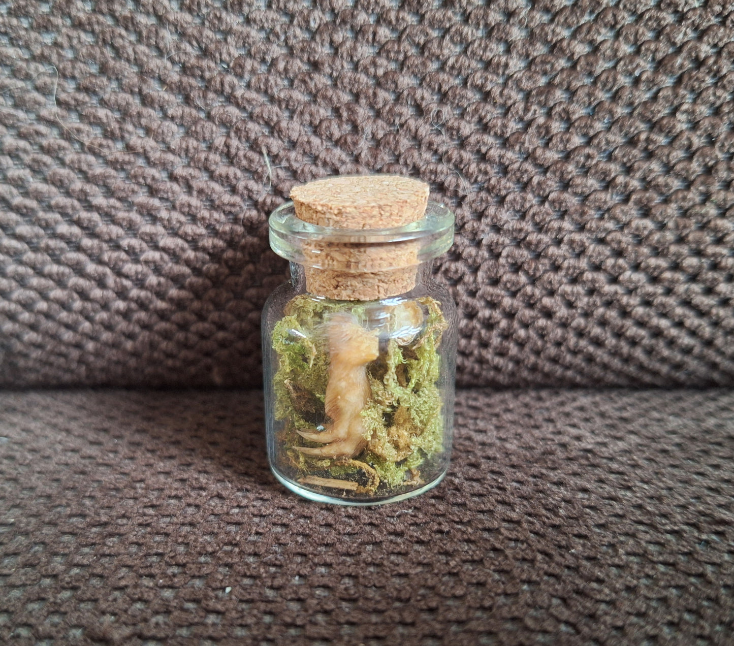 Mole paws bottle