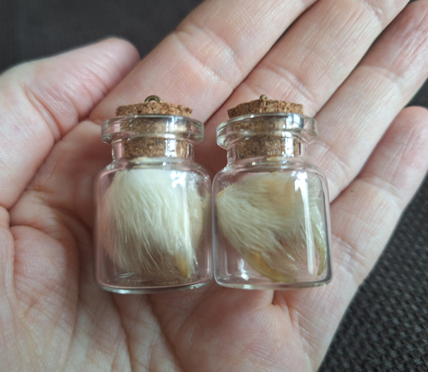 Fox nails bottle
