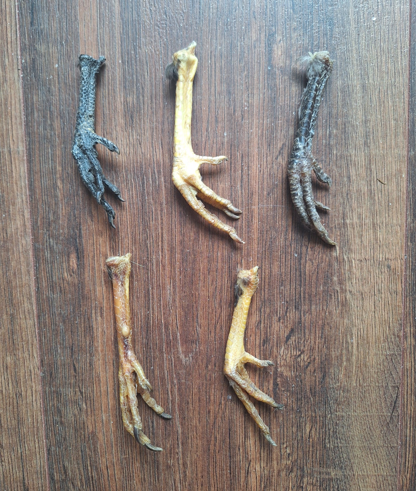 Chicken lower legs