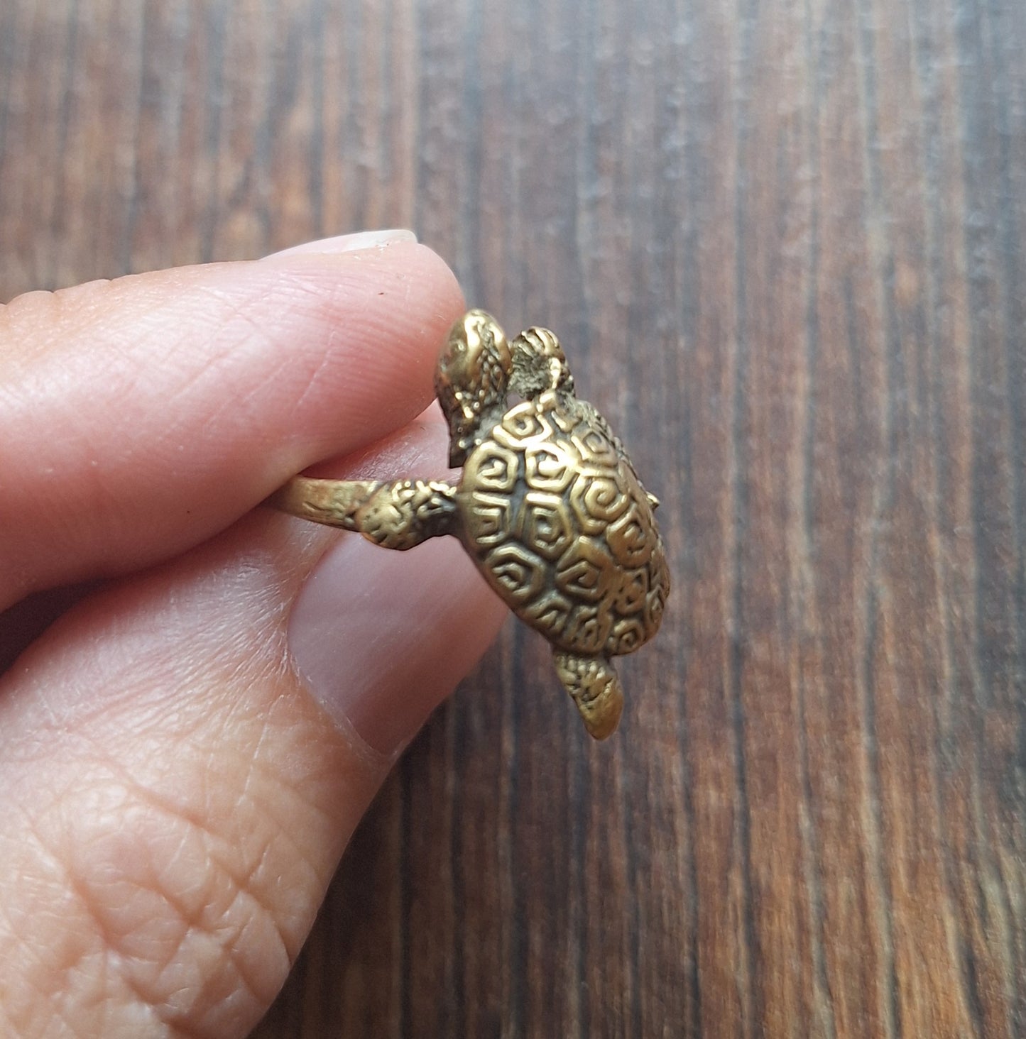Brass ring Turtle