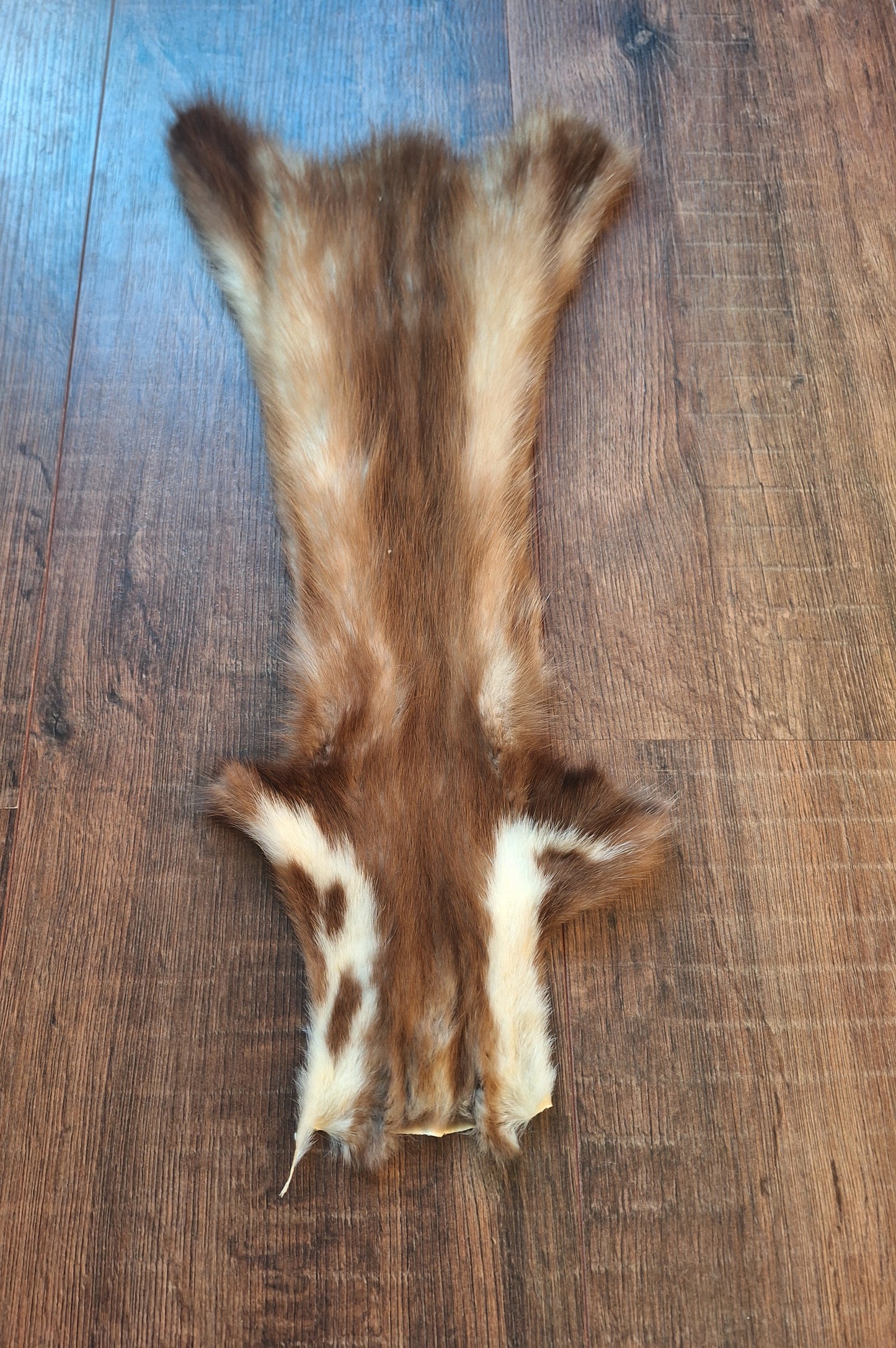 Stone marten hide #8, crafting piece