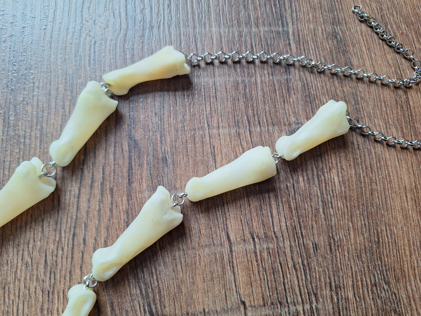 Roe deer foot bones amulet necklace