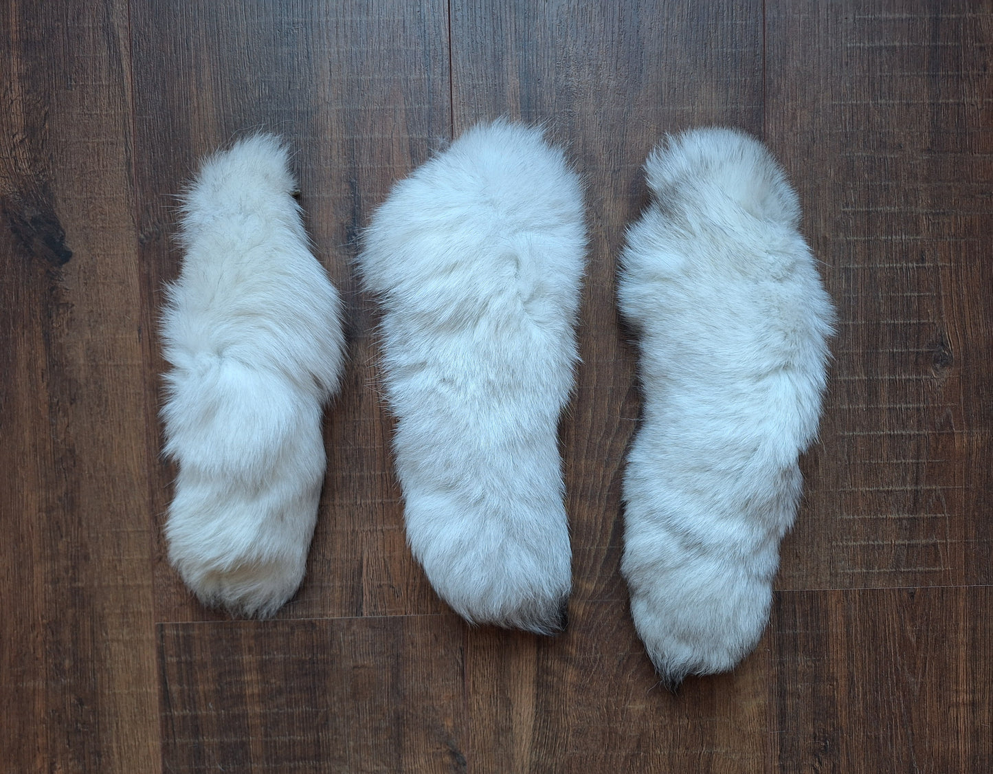 Polar fox tails