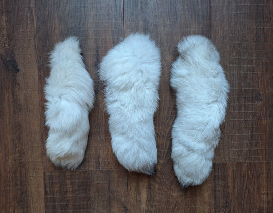 Polar fox tails