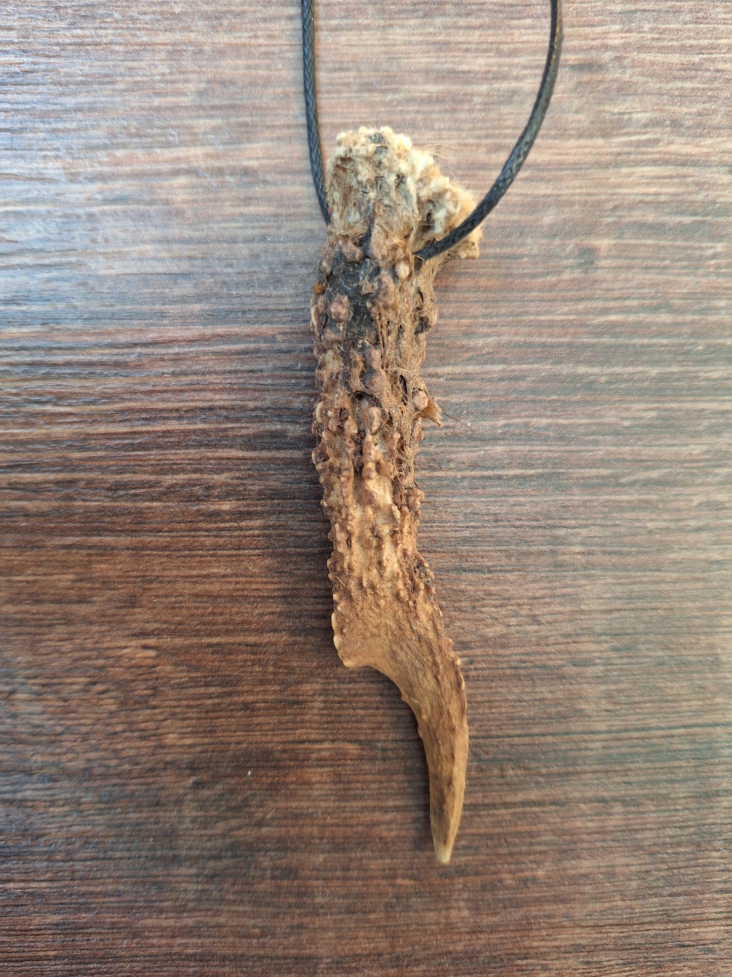 Roe deer antler necklaces