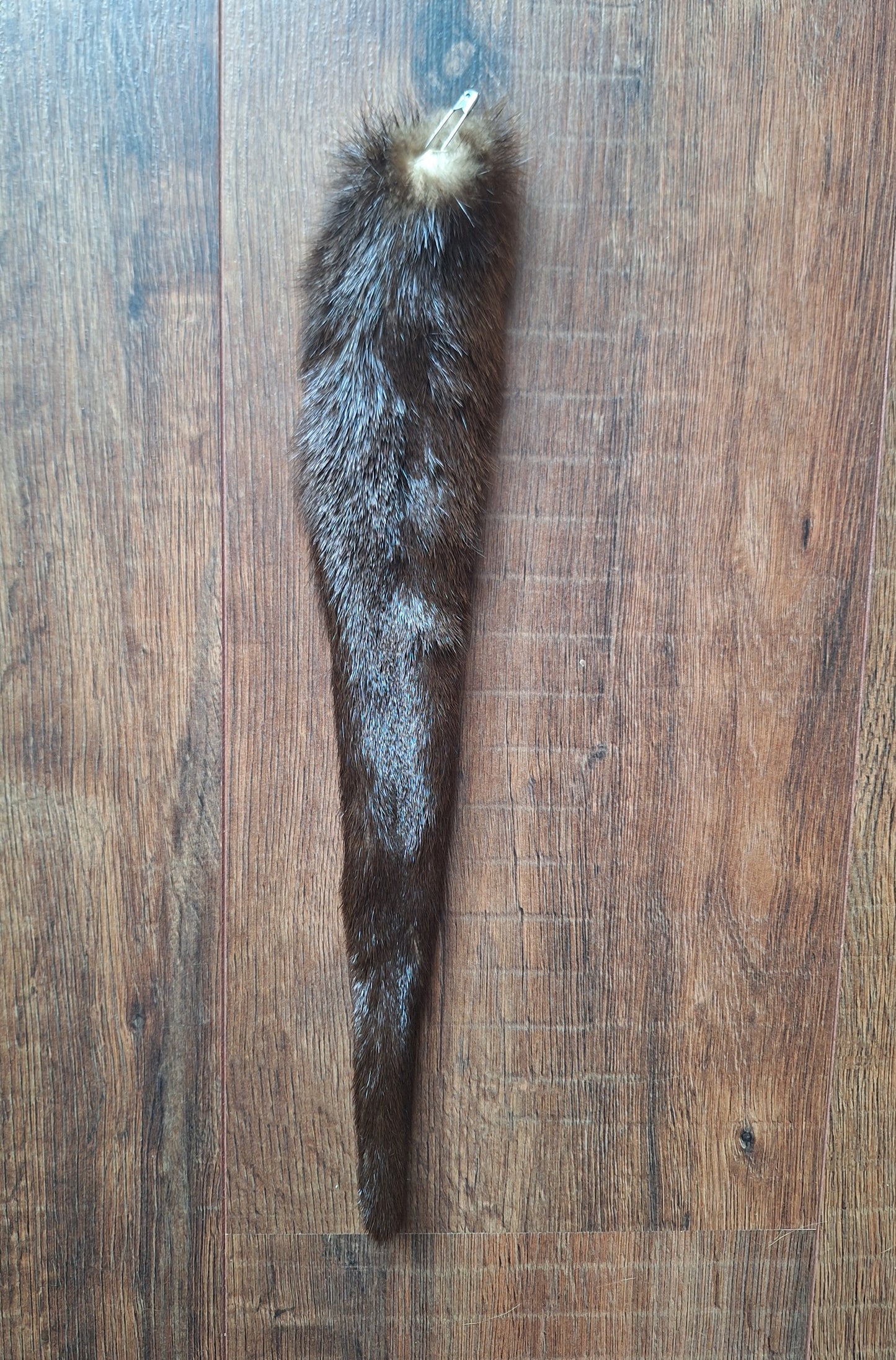 Otter tails