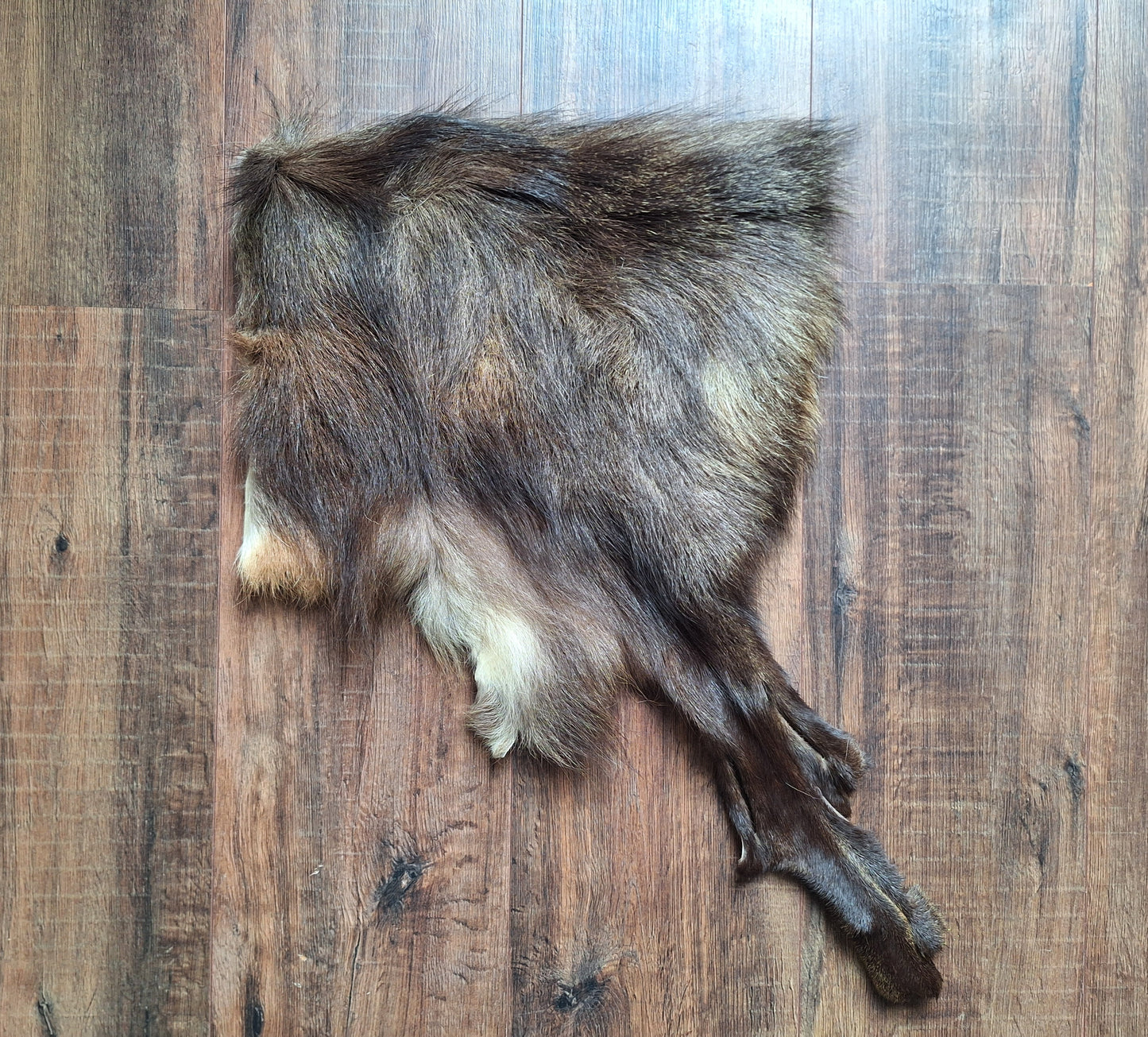 Chamois hide, crafting piece #1