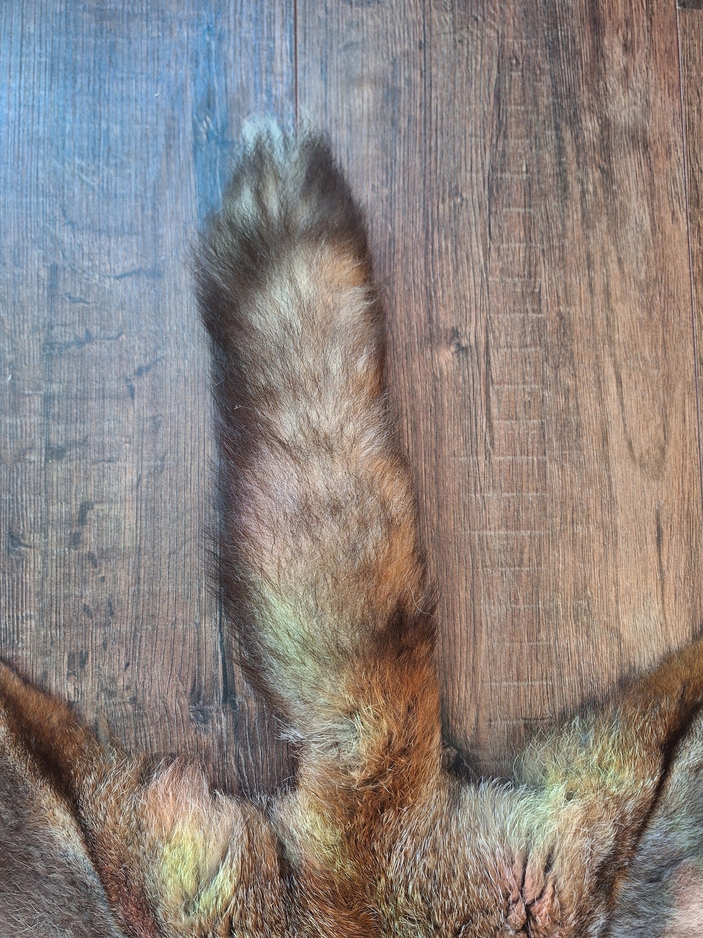 Red fox hide #26