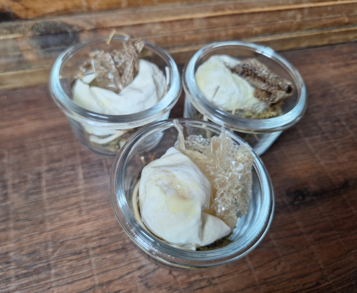 Snake set in glass jar