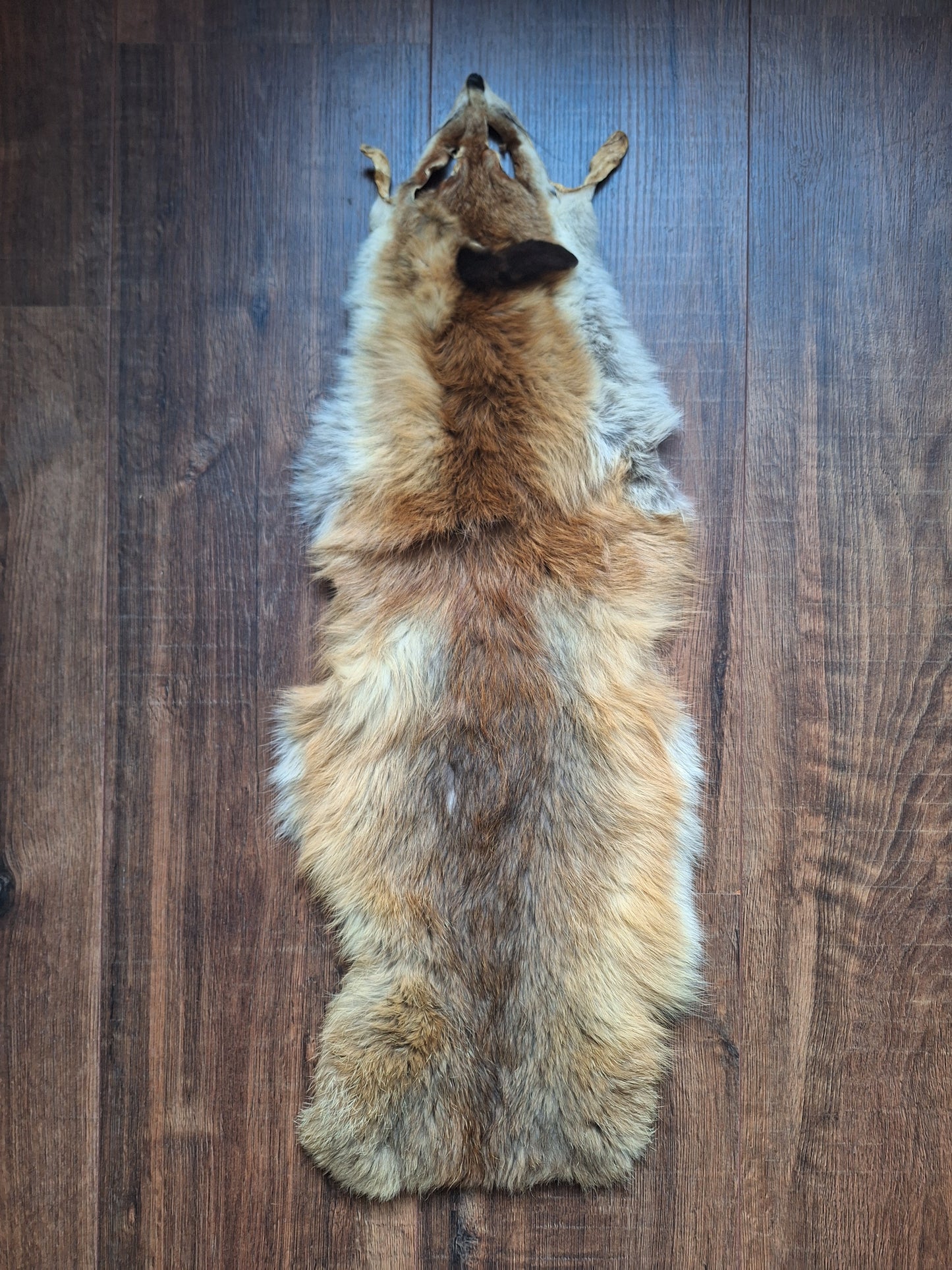 Red fox hide crafting piece
