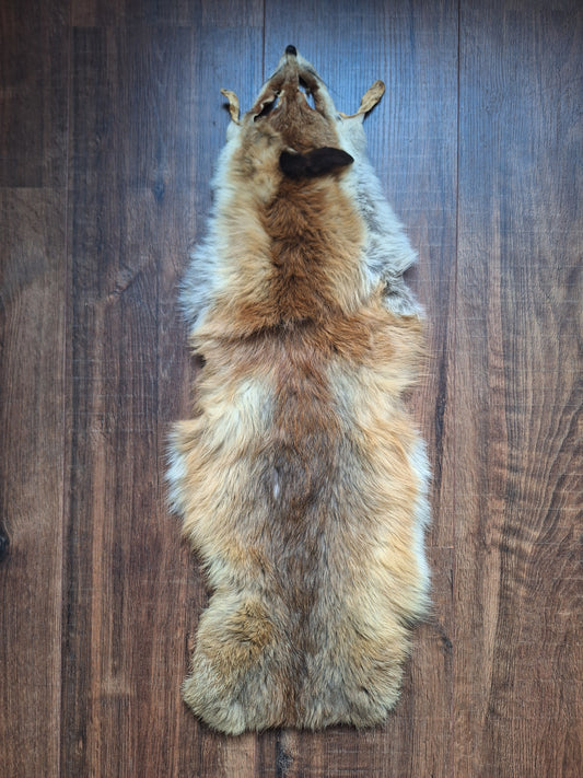 Red fox hide crafting piece