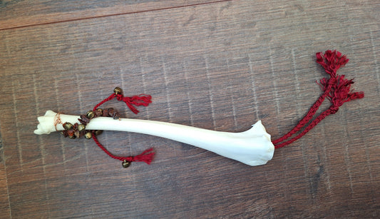 Roe deer legbone rattle