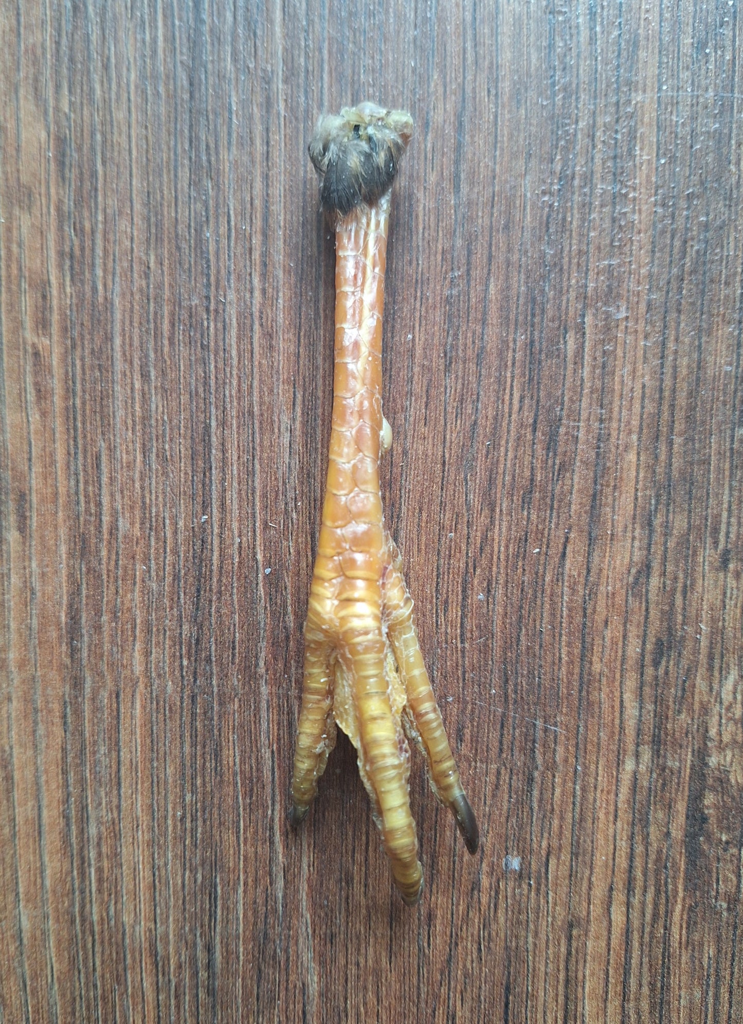 Chicken lower legs