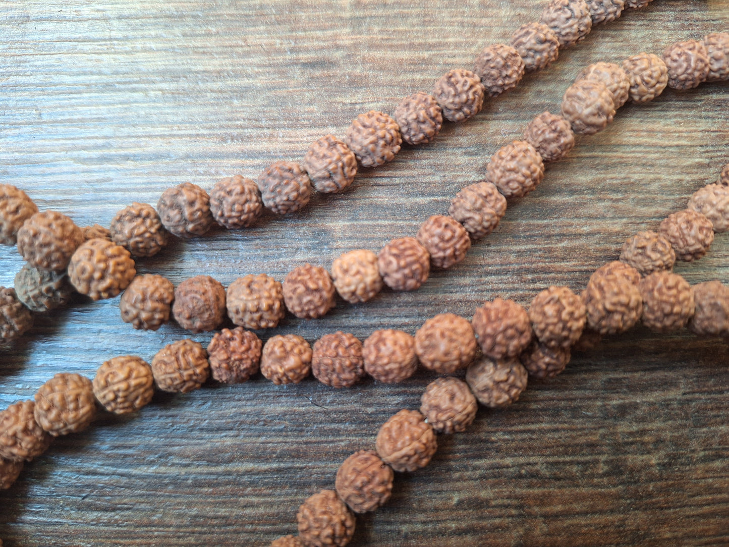 Rudraksha bead strand